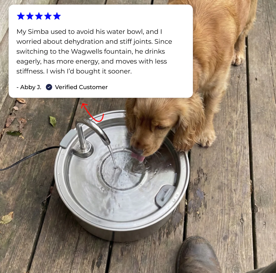 Rhykin™ Pet Fountain