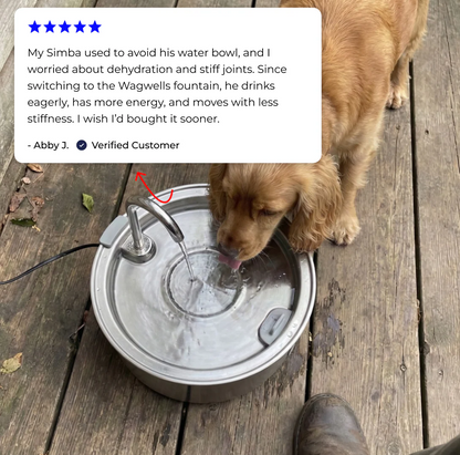 Rhykin™ Pet Fountain